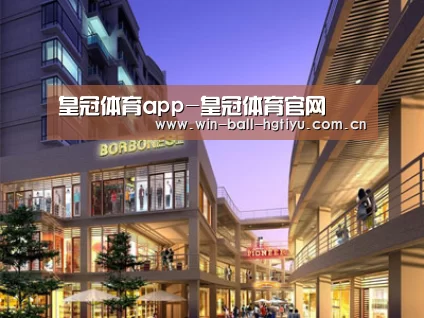 案例展示一(图1)