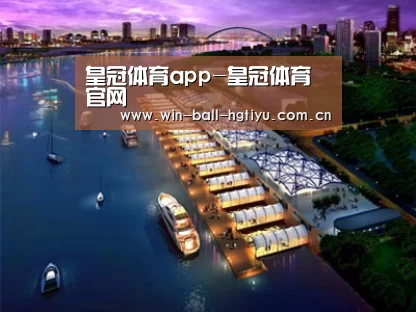 案例展示八