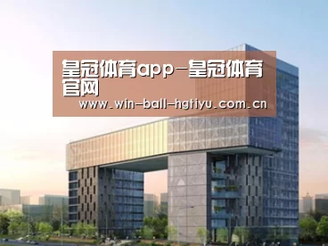 案例展示四